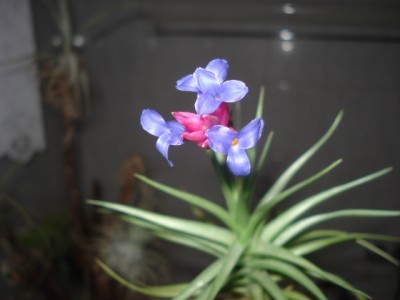 DSC04829.JPG