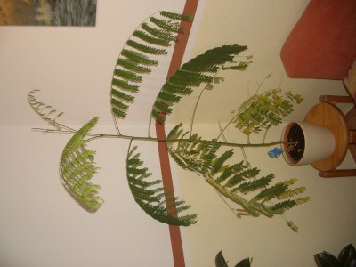 IMGP6585.JPG