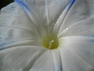 Bild 033.JPG