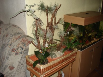 DSC04622.JPG