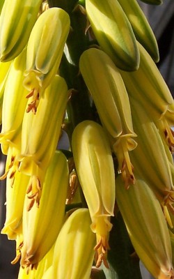 100_4362.jpg