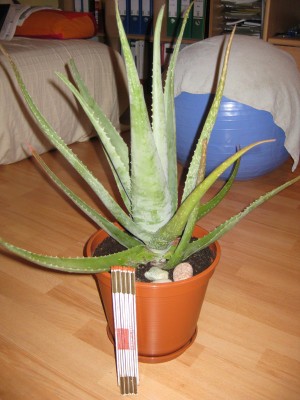 Bild 364_600x800.jpg