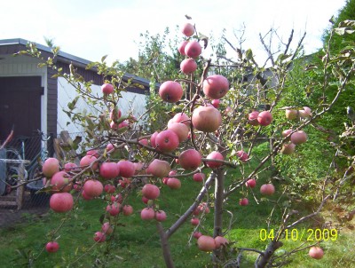 Bild 004.jpg
