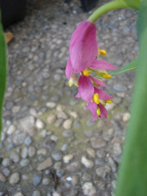 September 2009 227.jpg