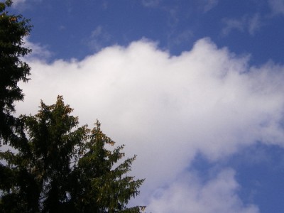 Manfre Fotos 345_Bildgröße ändern.JPG