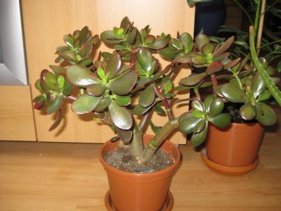 Bild 374_1400x1050.jpg