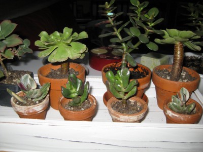 Bild 370_1400x1050.jpg