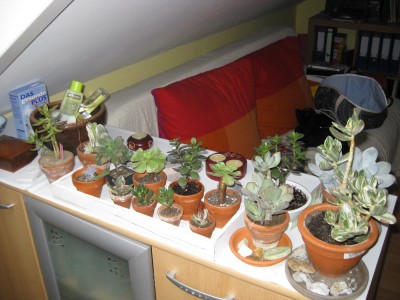 Bild 369_1400x1050.jpg