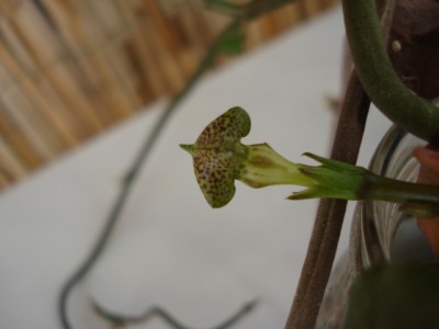 September 2009 225.jpg