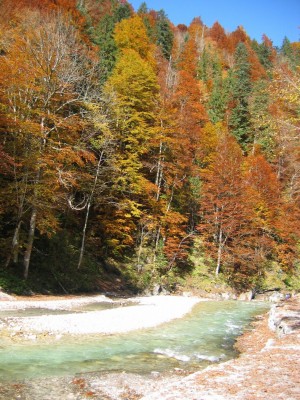 Wandern 11.10 084_788x1050.jpg