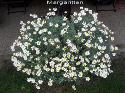 SDC11074_Bildgröße ändern.JPG