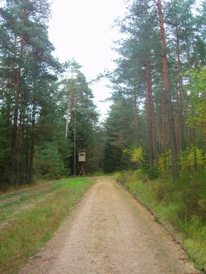 100D7261.JPG