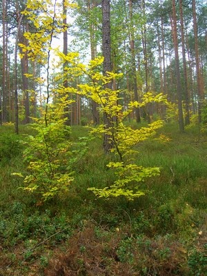 100D7260.JPG