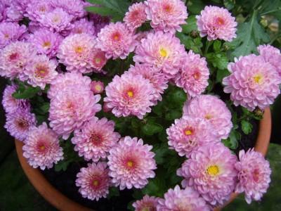 PIC19.JPG