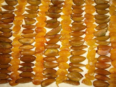 Zwetschgen-Mirabellen-Datschi (1).JPG
