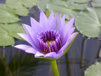 rätsel 091009 komplett.jpg