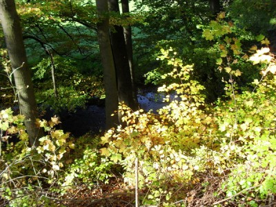 SDC11179_Bildgröße ändern.JPG