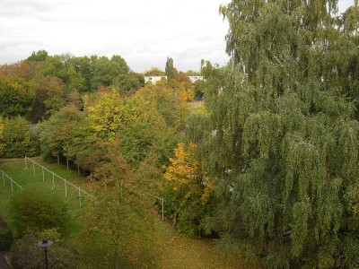 Herbst 1.jpg