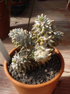 September 2009 144.jpg