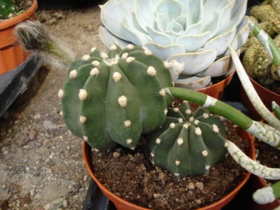 September 2009 114.jpg