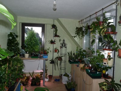 P1040534.JPG