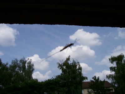 100_0187.jpg