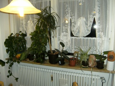 090928094420.JPG