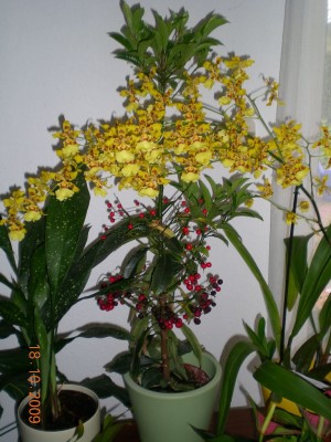DSCN58600001.JPG