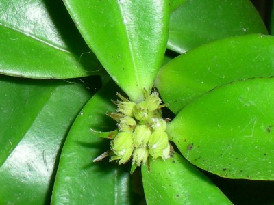 RSCN58690001.JPG