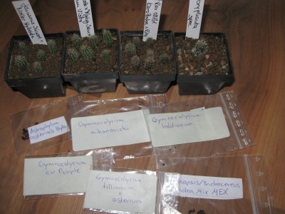 Post von Terence.jpg