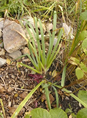 BILD0078.JPG
