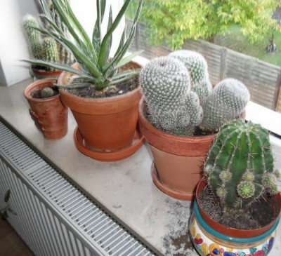 SDC11296_Bildgröße ändern_Bildgröße ändern.JPG