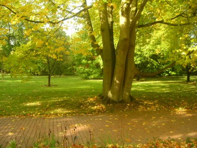 DSCN5096.JPG