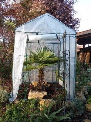 Gewächshäuschen1.jpg