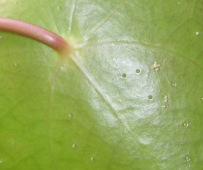 DSCI0012 - Kopie.JPG