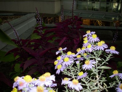 DSCI0746.JPG