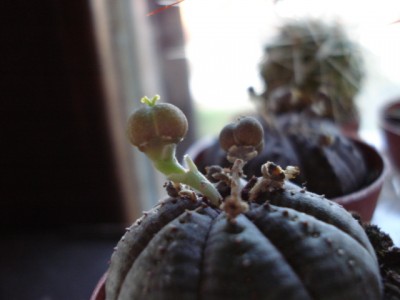 Oktober 2009 003.jpg