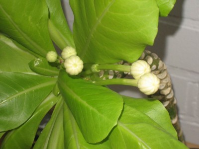 rätsel 091023 komplett.jpg