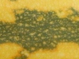 DSCI0016 - Kopie (2).JPG