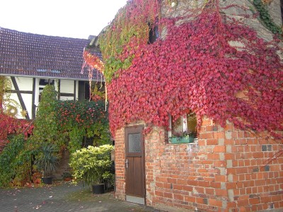 Herbst in Hessen 2.jpg