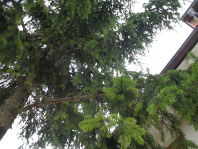IMG_2379.JPG