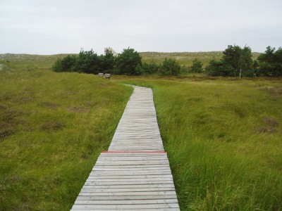 Ostsee 23.jpg