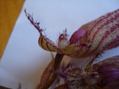 Oktober 2009 033.jpg