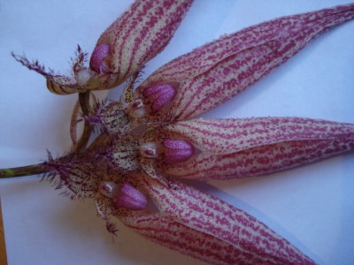 Oktober 2009 032.jpg