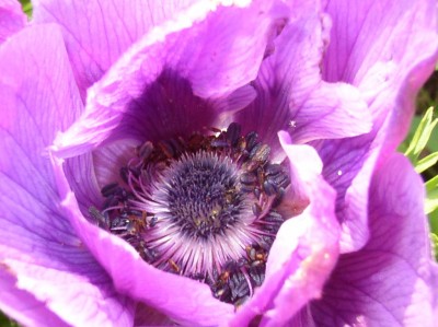 P10100 16_01 (8).jpg