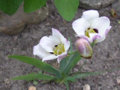 P10100 16_01.jpg
