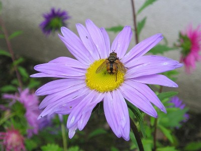september_2007_032.jpg