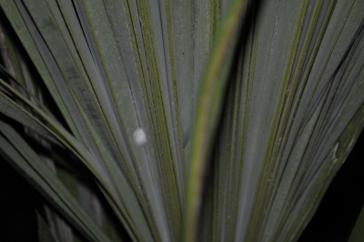 DSC_0671.JPG