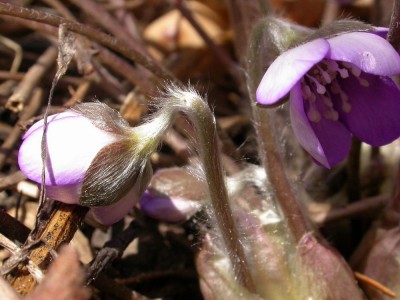 rätsel 091028 komplett.jpg