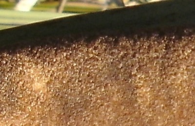 Kopie von BILD0133.JPG